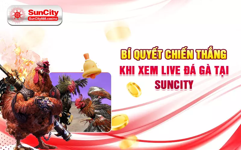 Bí quyết chiến thắng khi xem live đá gà tại SunCity