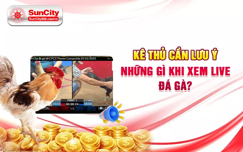 Kê thủ cần lưu ý những gì khi xem live đá gà