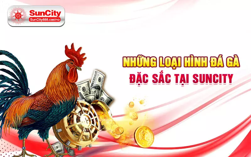 Những loại hình đá gà đặc sắc tại SunCity