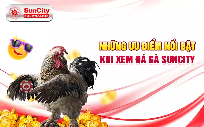 Những ưu điểm nổi bật khi xem đá gà SunCity