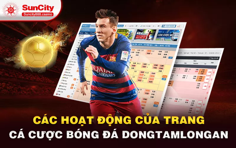 Các hoạt động của trang cá cược bóng đá dongtamlongan