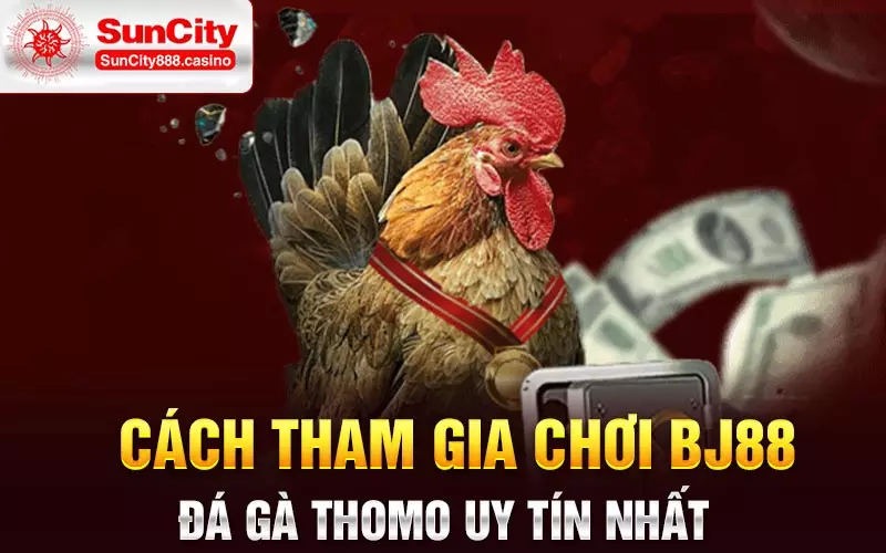 Cách tham gia chơi BJ88 đá gà Thomo uy tín nhất