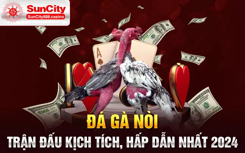 Đá gà nòi - Trận đấu kịch tích, hấp dẫn nhất 2024