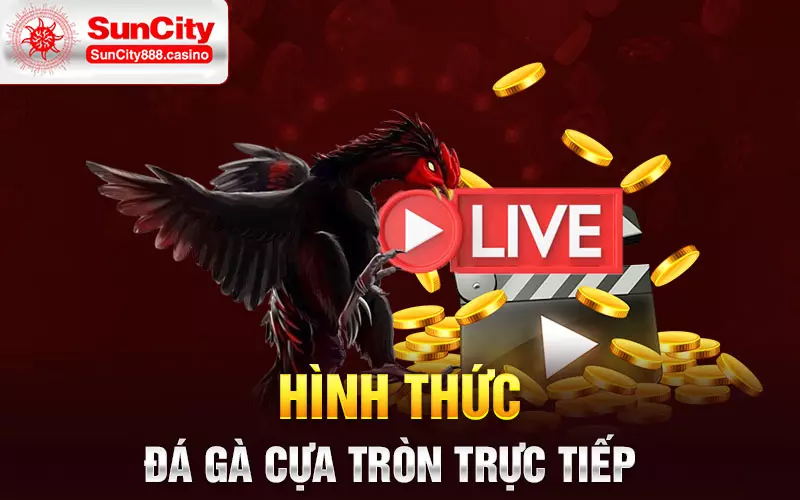 Hình thức đá gà cựa tròn trực tiếp