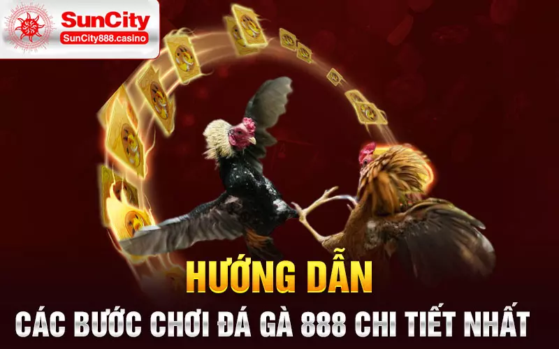 Hướng dẫn các bước chơi đá gà 888 chi tiết nhất