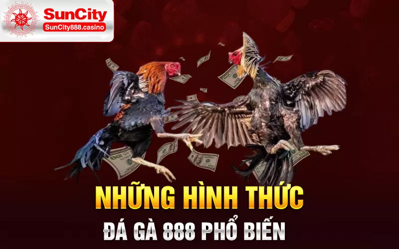 Những hình thức đá gà 888 phổ biến