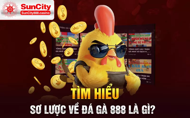 Tìm hiểu sơ lược về đá gà 888 là gì?