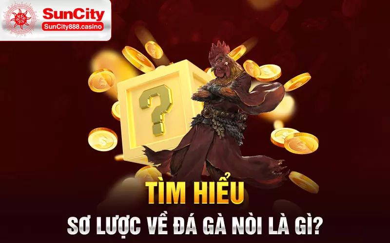 Tìm hiểu sơ lược về đá gà nòi là gì?