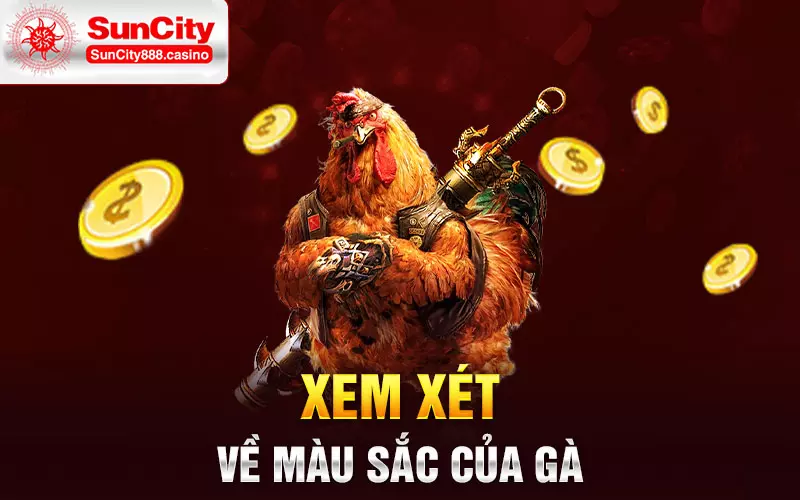 Xem xét về màu sắc của gà