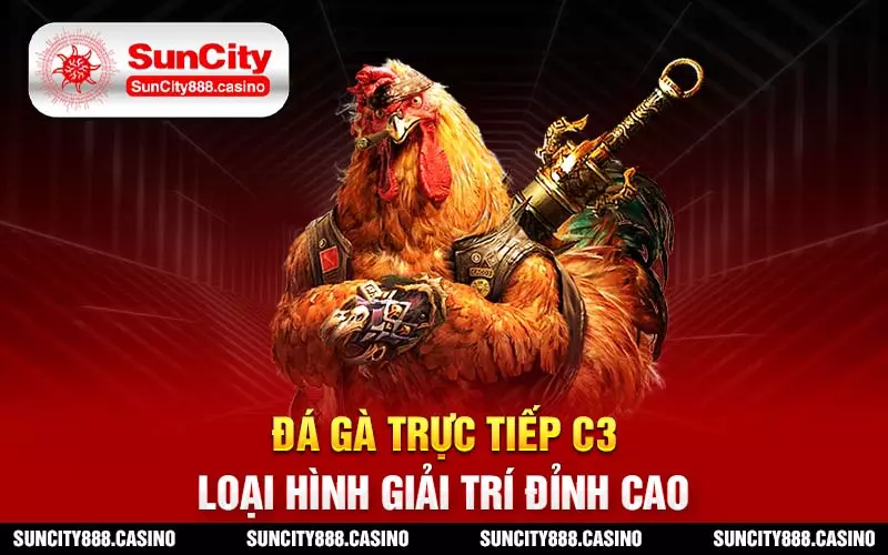 Đá gà trực tiếp C3 - Loại hình giải trí đỉnh cao