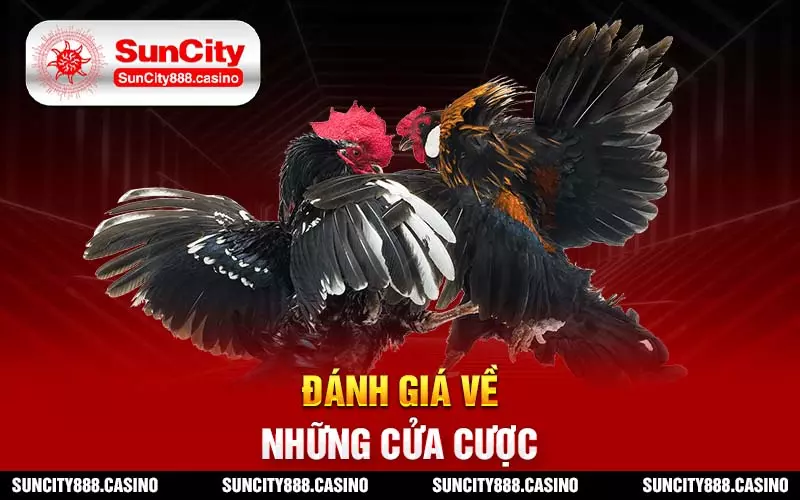 Đánh giá về những cửa cược