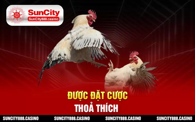 Được đặt cược thoả thích