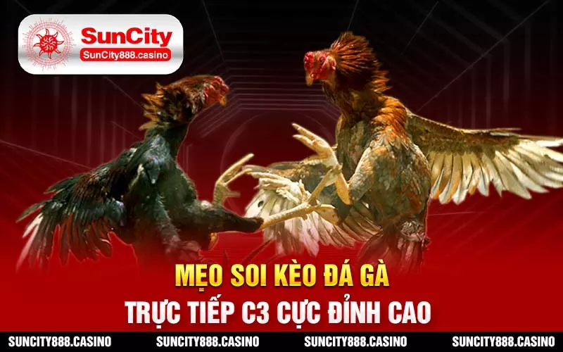 Mẹo soi kèo đá gà trực tiếp C3 cực đỉnh cao