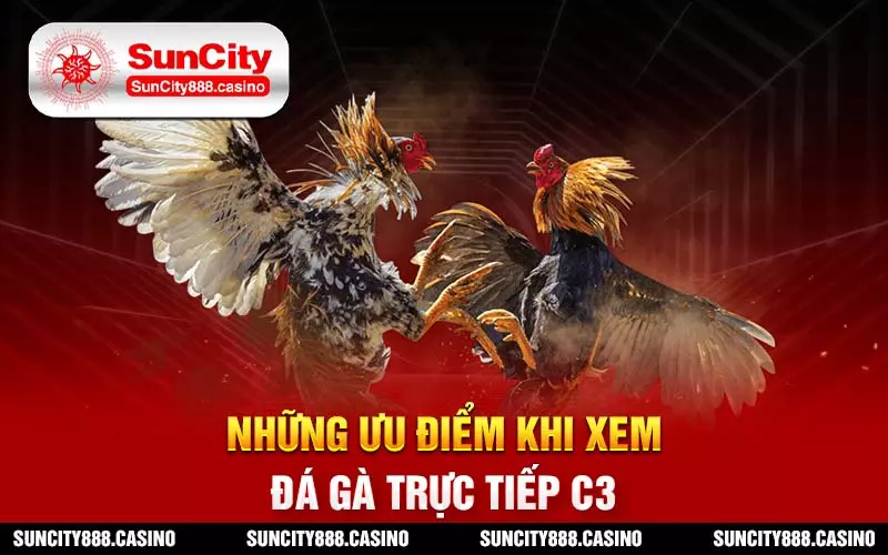 Những ưu điểm khi xem đá gà trực tiếp C3