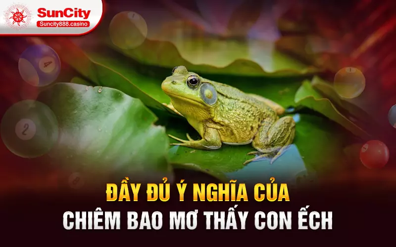 Đầy đủ ý nghĩa của chiêm bao mơ thấy con ếch