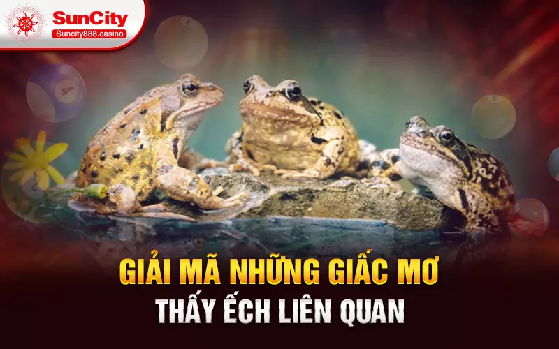 Giải mã những giấc mơ thấy ếch liên quan