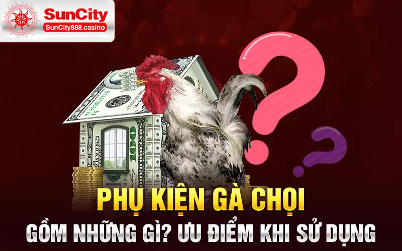 Phụ kiện gà chọi gồm những gì? Ưu điểm khi sử dụng