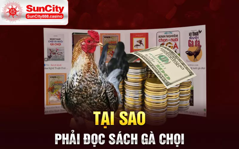 Tại sao phải đọc sách gà chọi