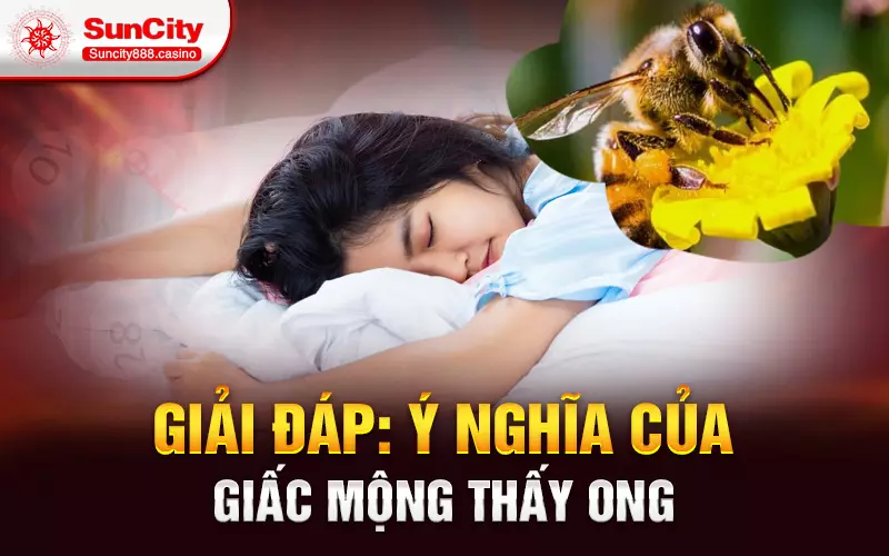 Giải đáp: Ý nghĩa của giấc mộng thấy ong