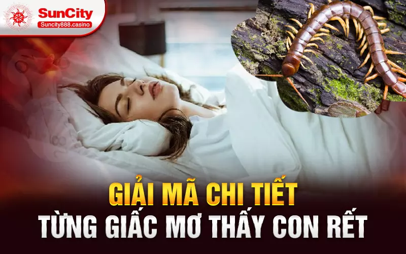 Giải mã chi tiết từng giấc mơ thấy con rết