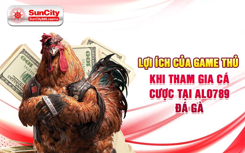 Lợi ích của game thủ khi tham gia cá cược tại Alo789 đá gà