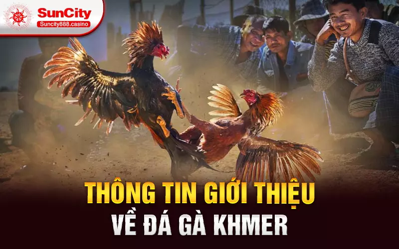 Thông tin giới thiệu về đá gà khmer