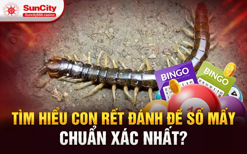 Tìm hiểu con rết đánh đề số mấy chuẩn xác nhất?